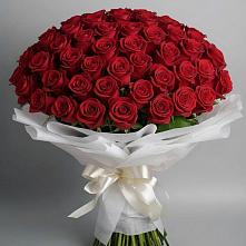 Букет 101 Красная роза Блэк Мэджик в Балковскую 