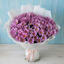 Букет цветов из:  Хризантемы в Балковскую 