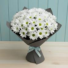 Букет цветов из:  Хризантемы в Балковскую 