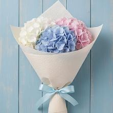 Букет цветов из:  Гортензия в Балковскую 
