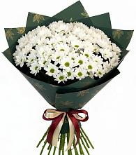 Букет цветов из:  Хризантемы в Балковскую 