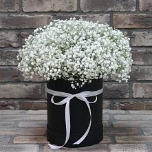 Цветочная композиция из Гипсофила в шляпной коробке #REPLACE_PRED# Балковскую 