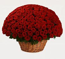 Премиум букет из: Розы в Балковскую 