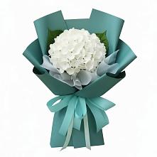 Букет цветов из:  Гортензия #REPLACE_PRED# Балковскую 